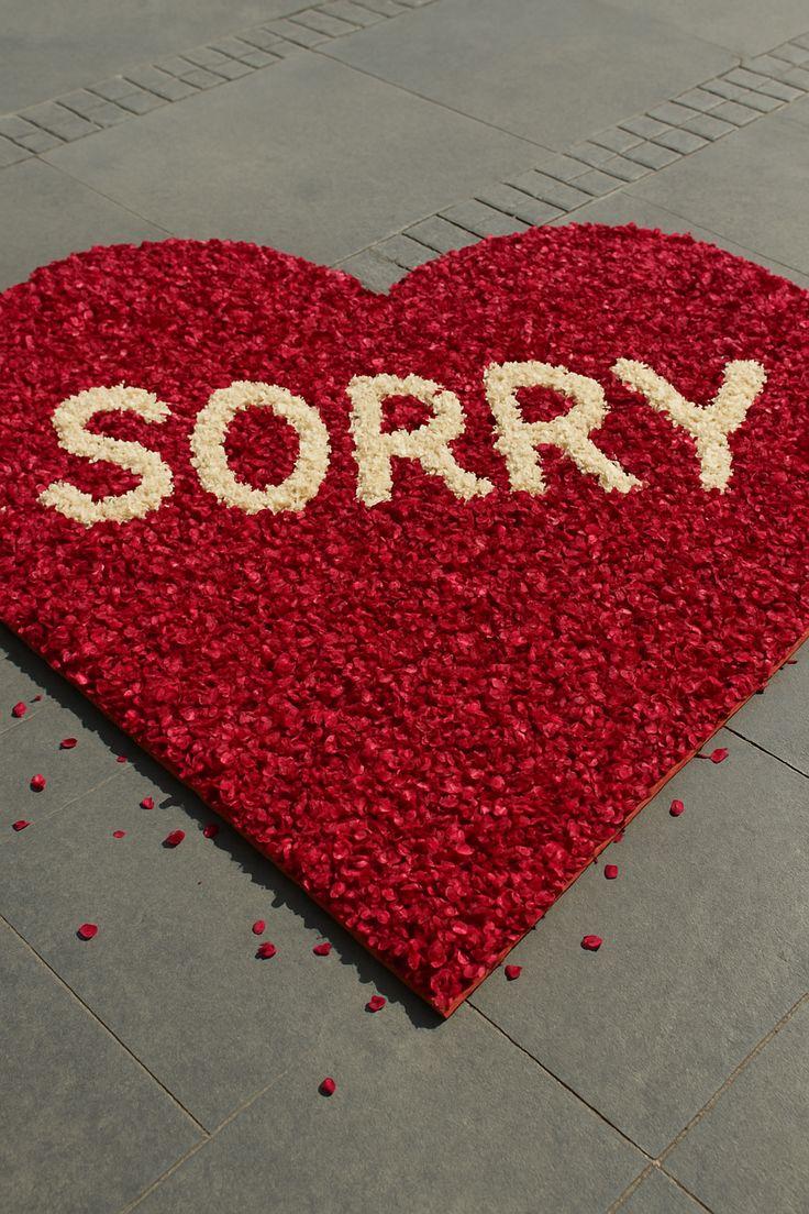 APOLOGY
